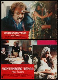 1t036 MONTENEGRO set of 2 Italian photobustas '81 Dusan Makavejev, Susan Anspach, erotic comedy!