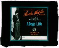 1x025 DOG'S LIFE glass slide '18 great c/u of Charlie Chaplin in his first Million Dollar Picture!