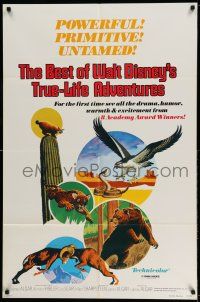 1y077 BEST OF WALT DISNEY'S TRUE-LIFE ADVENTURES 1sh '75 powerful, primitive, cool animal art!