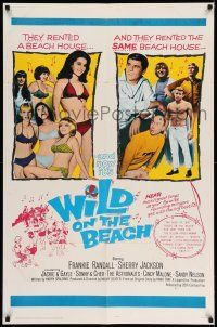 1y969 WILD ON THE BEACH 1sh '65 Frankie Randall, Sherry Jackson, Sonny & Cher, teen rock & roll!