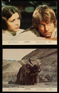 2h145 STAR WARS 2 color 8x10 stills '77 close-up image of Luke and Leia + Bantha & Tusken Raider!