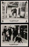 2h406 DOBERMAN GANG 10 8x10 stills '72 Byron Mabe, Hal Reed, cool images of canine bank robbery!