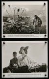 2h656 DREAMS 5 8x10 stills '90 Akira Kurosawa & Steven Spielberg