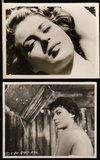 2h207 SILVANA MANGANO 19 from 7x9.25 to 8x10 stills '50s-60s wonderful portraits of pretty actress!