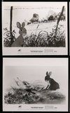 2h546 WATERSHIP DOWN 8 8x10 stills '78 based on Richard Adams' best seller, cartoon rabbits!
