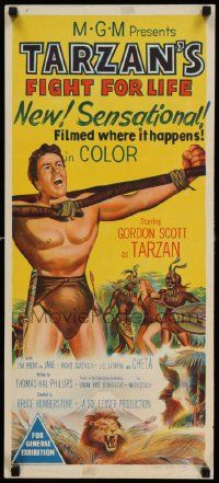 2m041 TARZAN'S FIGHT FOR LIFE Aust daybill '58 close up art of Gordon Scott bound/arms outstretched!