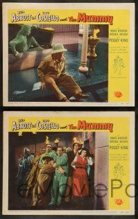 2m431 ABBOTT & COSTELLO MEET THE MUMMY 5 LCs '55 Bud & Lou, sexy Peggy King & Marie Windsor!