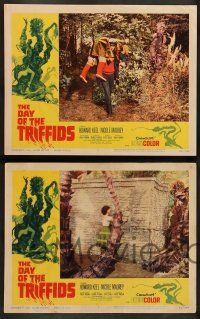 2m427 DAY OF THE TRIFFIDS 6 LCs '62 classic English sci-fi horror, Howard Keel, cool border art!