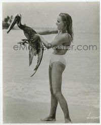 2s282 DR. NO candid 7.5x9.25 still '62 sexy censored Ursula Andress in bikini holding pelican!
