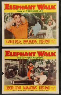 2w873 ELEPHANT WALK 2 LCs '54 Elizabeth Taylor w/ Dana Andrews and lots of pachyderms!