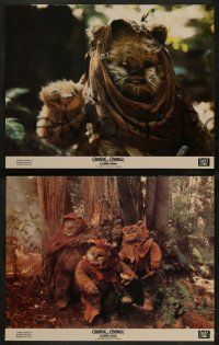 2w098 CARAVAN OF COURAGE 8 color 11x14 stills '84 An Ewok Adventure, Star Wars, Eric Walker!