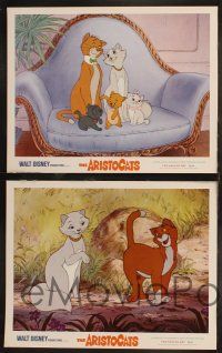 2w433 ARISTOCATS 7 LCs '71 Walt Disney feline jazz musical cartoon, great colorful image!