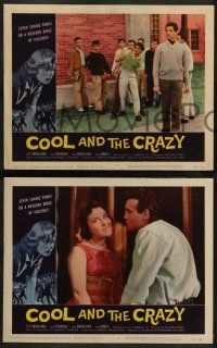 2w487 COOL & THE CRAZY 6 LCs '58 savage punks on binge of violence, Dick Bakalyan, classic '50s!