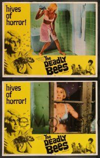2w122 DEADLY BEES 8 LCs '67 hives of horror, fatal stings, great horror images!