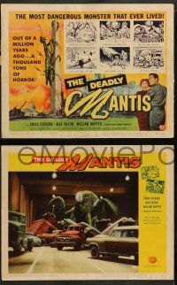2w123 DEADLY MANTIS 8 LCs '57 Craig Stevens, Alix Talton, William Hopper, giant insect horror!