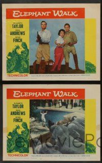 2w493 ELEPHANT WALK 6 LCs R60 romantic images of Elizabeth Taylor w/ Dana Andrews and Peter Finch!