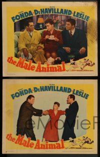 2w637 MALE ANIMAL 4 LCs '42 Fonda, Olivia de Havilland, Leslie, Carson, Pallette, James Thurber!