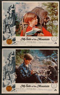 2w452 MY SIDE OF THE MOUNTAIN 7 LCs '68 a boy who dreams of leaving civilization to do his thing!