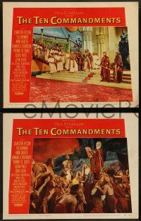 2w379 TEN COMMANDMENTS 8 LCs '56 Cecil B. DeMille classic starring Charlton Heston & Yul Brynner!