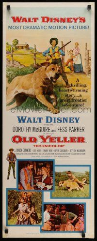 2y332 OLD YELLER insert R65 Dorothy McGuire, Fess Parker, art of Walt Disney's most classic canine