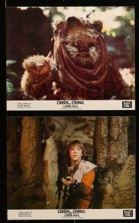 3h431 CARAVAN OF COURAGE 8 color 8x10 stills '84 An Ewok Adventure, Star Wars, great images!