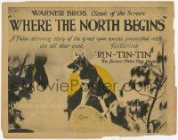 3k514 WHERE THE NORTH BEGINS TC '23 wonderful close up of Rin Tin Tin, the famous Police Dog Hero!