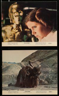 3m178 STAR WARS 2 color 8x10 stills '77 close-up image of Luke and Leia + Bantha & Tusken Raider!