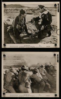 3m565 DESERT RATS 10 8x10 stills '53 Burton leads Australian & New Zealand soldiers against Nazis!