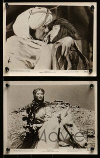 3m382 SAADIA 15 8x10 stills '54 Arab Cornel Wilde, Mel Ferrer & Rita Gam in hot-blooded Morocco!