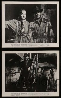 3m675 STORMBOUND 9 8x10 stills '51 reporter Constance Dowling & scary outlaw Andrea Checchi!