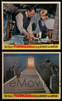 3m106 THREE LIVES OF THOMASINA 8 color English FOH LCs '64 Walt Disney, McGoohan, Hampshire, cat!