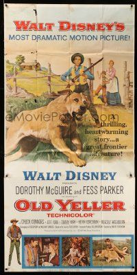 3p401 OLD YELLER 3sh R65 Dorothy McGuire, Fess Parker, art of Walt Disney's most classic canine!