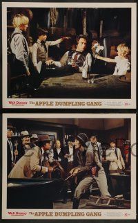 3t551 APPLE DUMPLING GANG 6 LCs '75 Disney, wacky images of Don Knotts & Tim Conway!