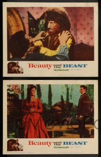 3t046 BEAUTY & THE BEAST 8 LCs '62 Mark Damon turns into a werewolf at night, Joyce Taylor