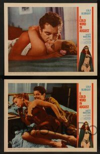 3t599 COLD WIND IN AUGUST 5 LCs '61 great images of Scott Marlowe, sexy Lola Albright!