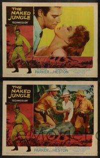 3t291 NAKED JUNGLE 8 LCs R60 Charlton Heston & Eleanor Parker, produced by George Pal!