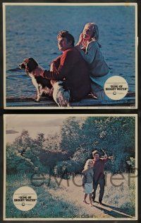 3t340 RING OF BRIGHT WATER 8 LCs '69 romantic Bill Travers & Virginia McKenna!
