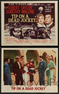 3t445 TIP ON A DEAD JOCKEY 8 LCs '57 Jack Lord, Gia Scala, Robert Taylor, Dorothy Malone, Dalio!