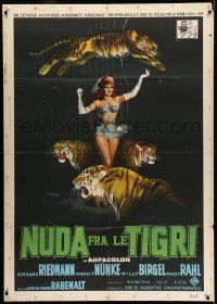 3y255 HIPPODROME Italian 1p '61 different Giuliano Nistri art of sexy circus performer & tigers!