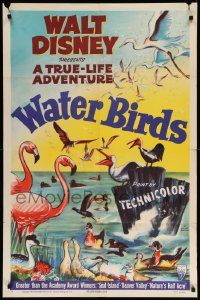 3z961 WATER BIRDS style A 1sh '52 Walt Disney True Life Adventure, Pelicans & other avians!