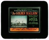 4a094 GOLDEN STALLION style B glass slide '27 Lefty Flynn taming White Fury, King of Horses, Bonomo!