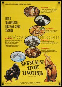 4b634 BIRDS DO IT, BEES DO IT Yugoslavian 19x27 '75 images of animals from sex documentary!
