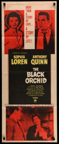 4c553 BLACK ORCHID insert '59 Anthony Quinn, Sophia Loren, story of love directed by Martin Ritt!