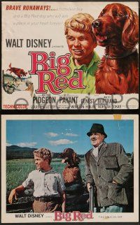 4f058 BIG RED 8 LCs '62 Walt Disney, Walter Pigeon, Gilles Payant, Irish Setter dog!