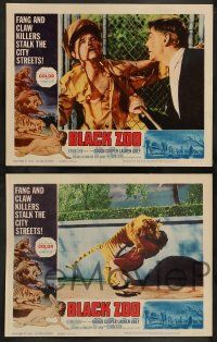 4f665 BLACK ZOO 4 LCs '63 cool horror images of fang and claw killers on the prowl!