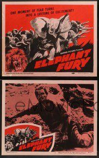 4f146 ELEPHANT FURY 8 LCs '56 a moment of fear turns into a lifetime of excitement!