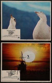 4f250 JONATHAN LIVINGSTON SEAGULL 8 LCs '73 great bird images, from Richard Bach's book!