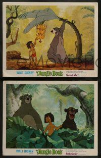 4f549 JUNGLE BOOK 5 LCs '67 Walt Disney cartoon classic, great image of all characters!