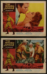 4f291 NAKED JUNGLE 8 LCs R60 Charlton Heston & Eleanor Parker, produced by George Pal!