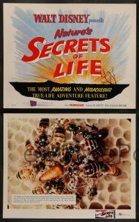 4f397 SECRETS OF LIFE 8 LCs '56 Disney's most amazing & miraculous True Life Adventure feature!